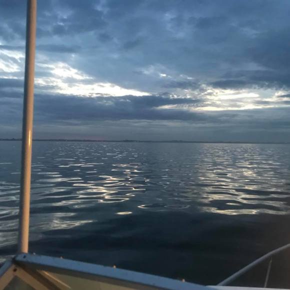 Meet your Posher, Mathew - Picture 1 of 1